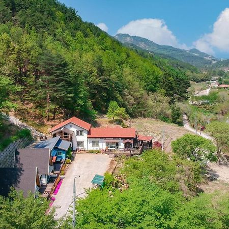 Samcheok Deulre Pension Buitenkant foto